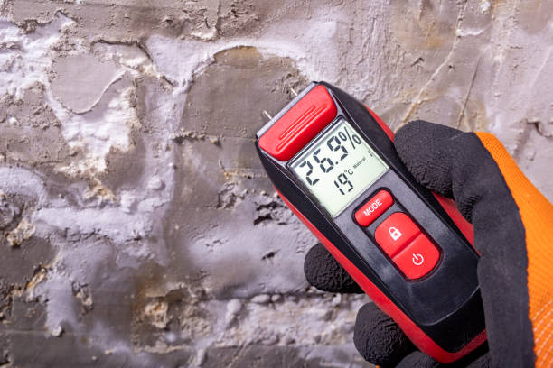 Best Crawl Space Mold Removal  in Tennille, GA