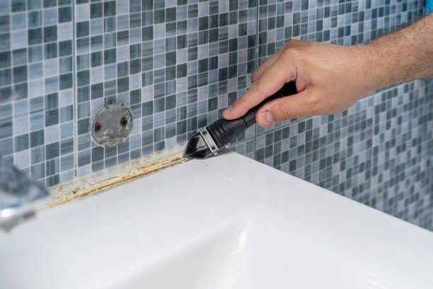 Best Best Mold Removal Companies  in Tennille, GA