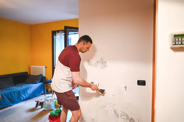 Best Office Mold Removal Services  in Tennille, GA