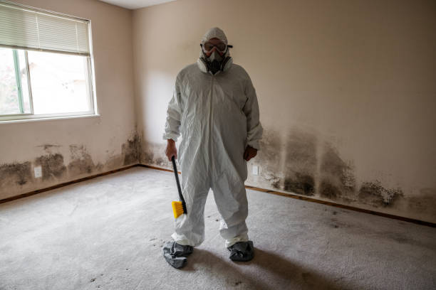 Best Toxic Mold Removal  in Tennille, GA
