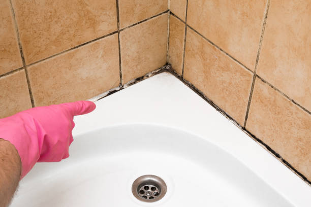 Best Professional Mold Removal  in Tennille, GA
